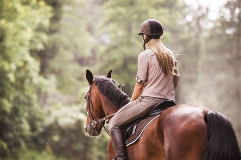 asstr horse|horseback riding .
